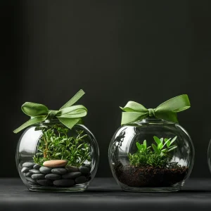 Sukkulenten Terrarium Inspiration