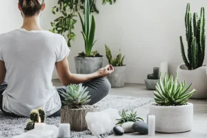 Meditation, Zen und Sukkulenten